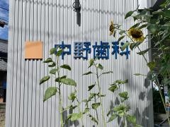 中野歯科