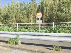 「田ノ浦団地入口」バス停留所