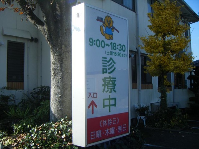 投稿写真2