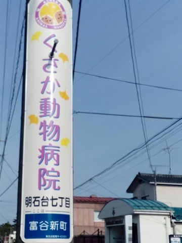 投稿写真2