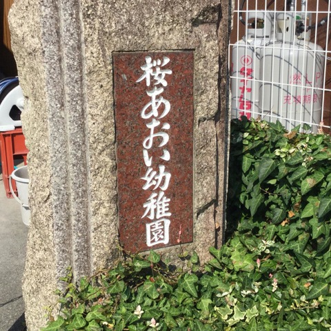 投稿写真1