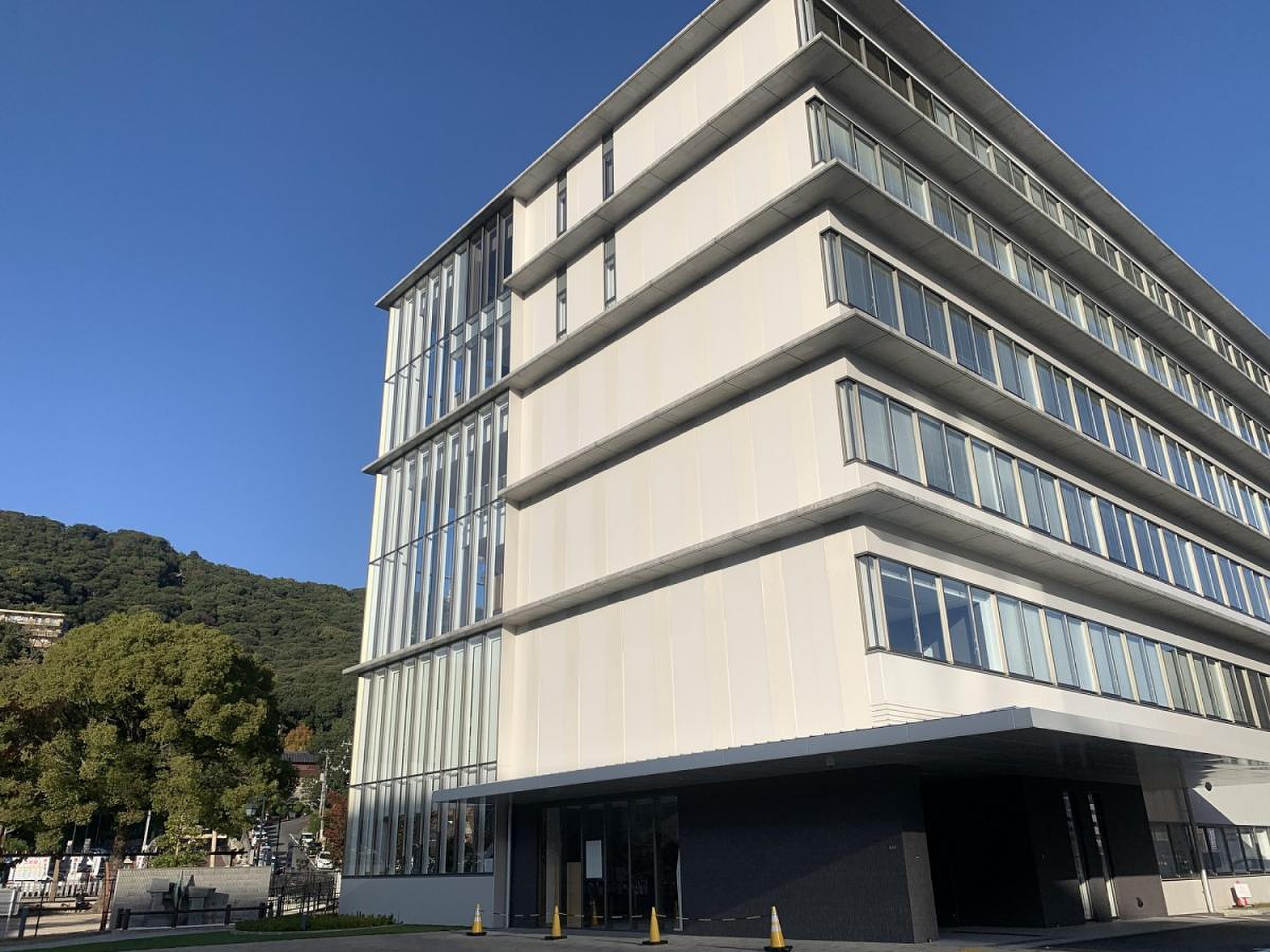 公の場での発言・インタビュー報道記録