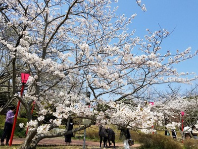旅探 たびたん 平草原公園