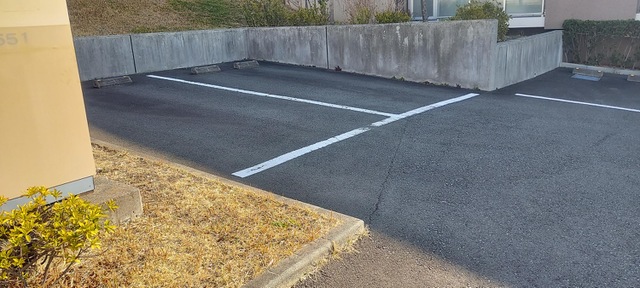 ミモザ藤沢