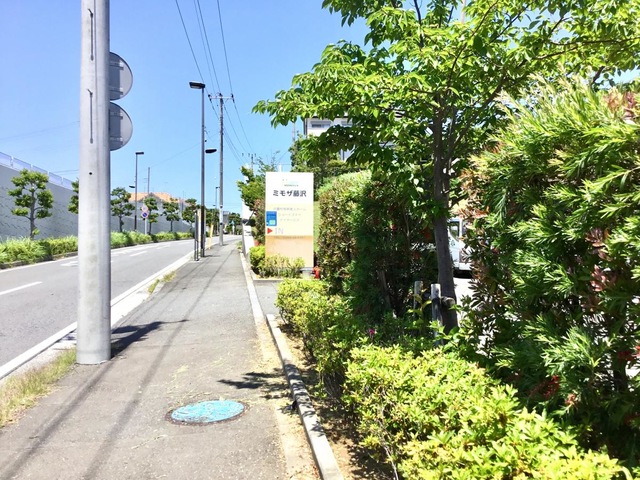 ミモザ藤沢 雰囲気