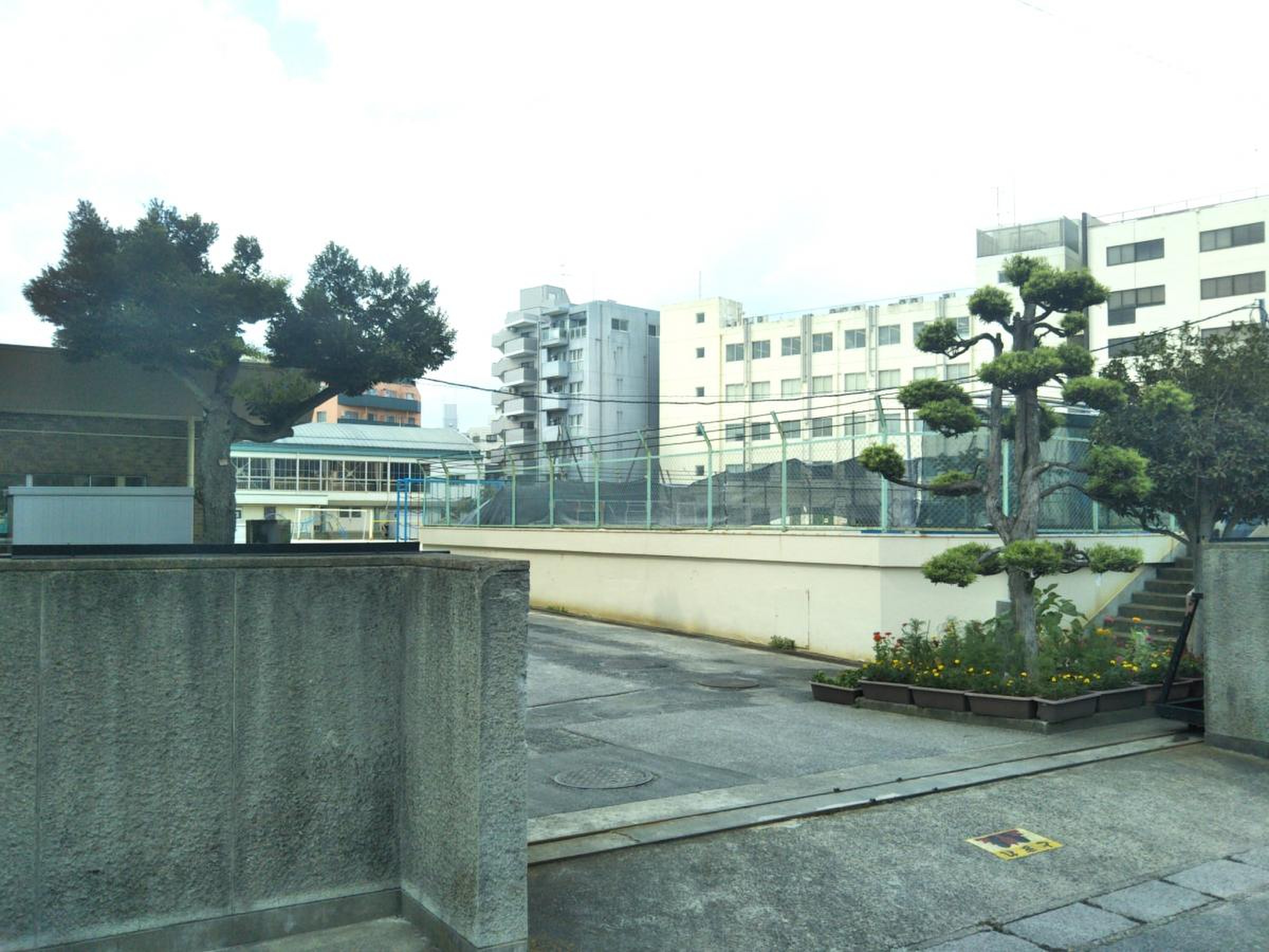 公の場での発言・インタビュー報道記録