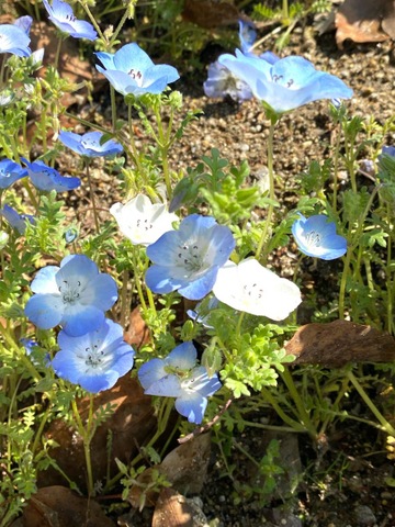施設写真179