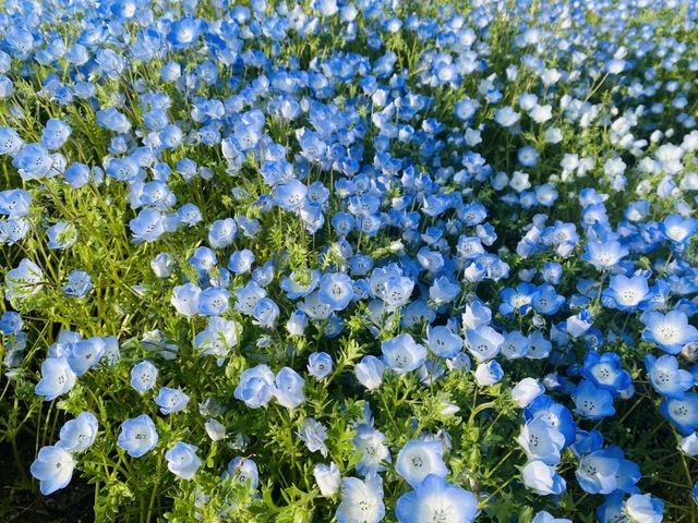 施設写真168