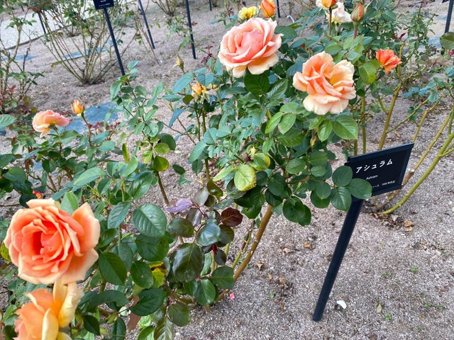 施設写真143