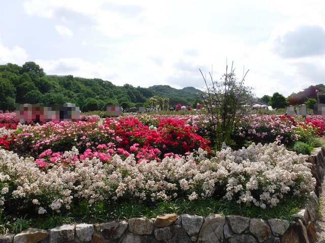 施設写真129