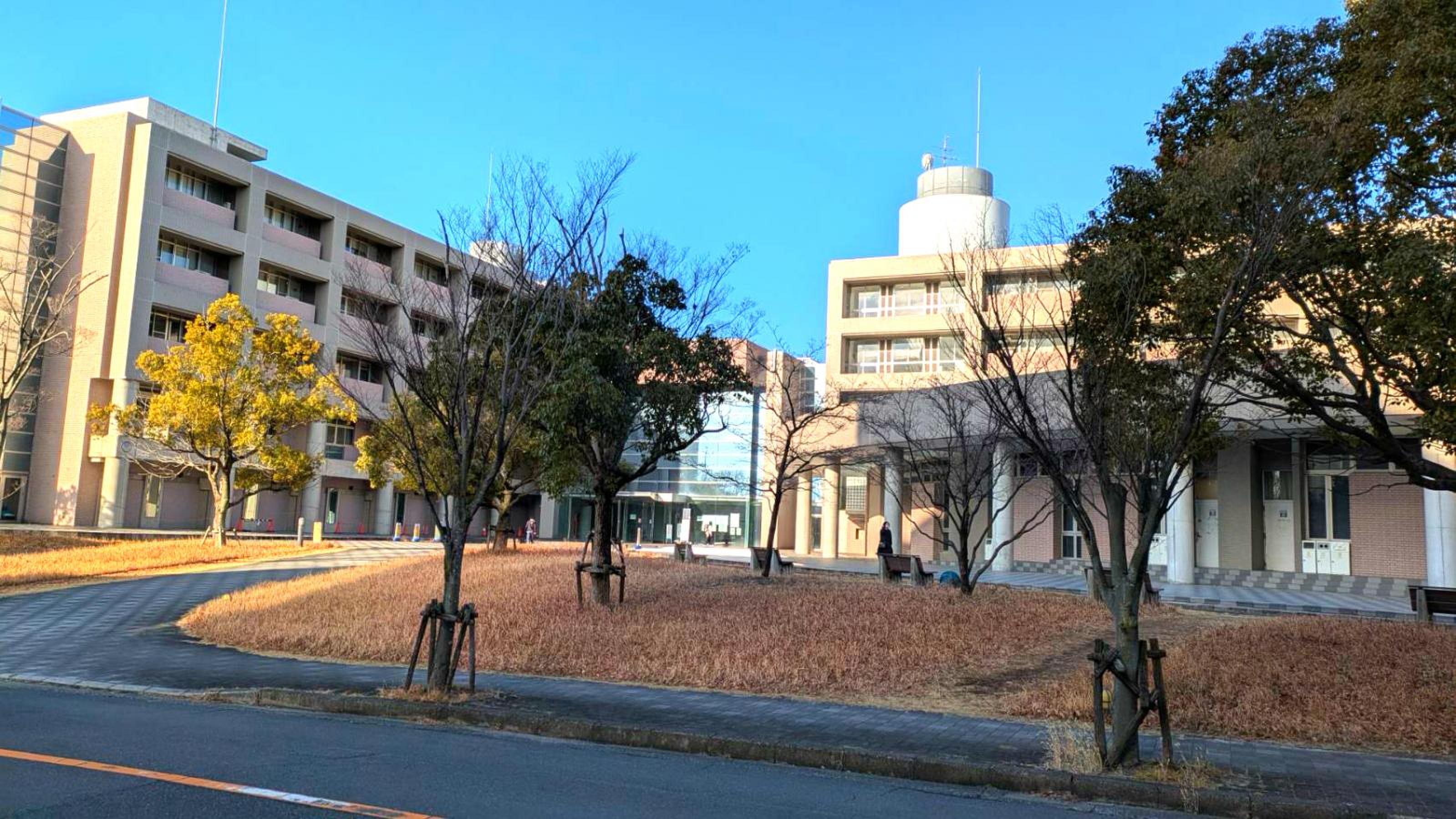 大阪 大学 吹田 キャンパス