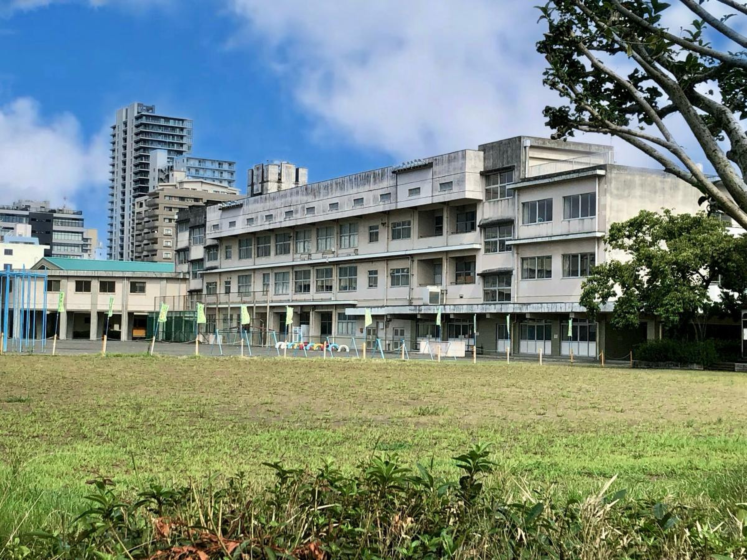 活動歴および当時の関連ビジュアル記録