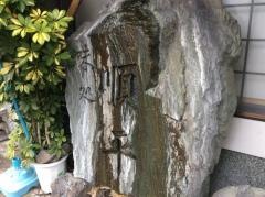 順平