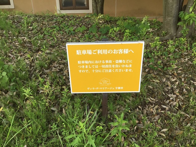 投稿写真8