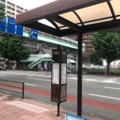 「白川公園前」バス停留所
