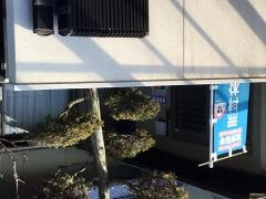 学研　わたなべ教室