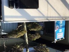 学研　わたなべ教室