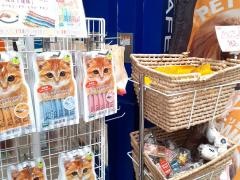 ペットショップＣｏｏ&ＲＩＫＵ　心斎橋店