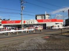 ドラッグストアセキ南羽生店