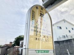 「林」バス停留所