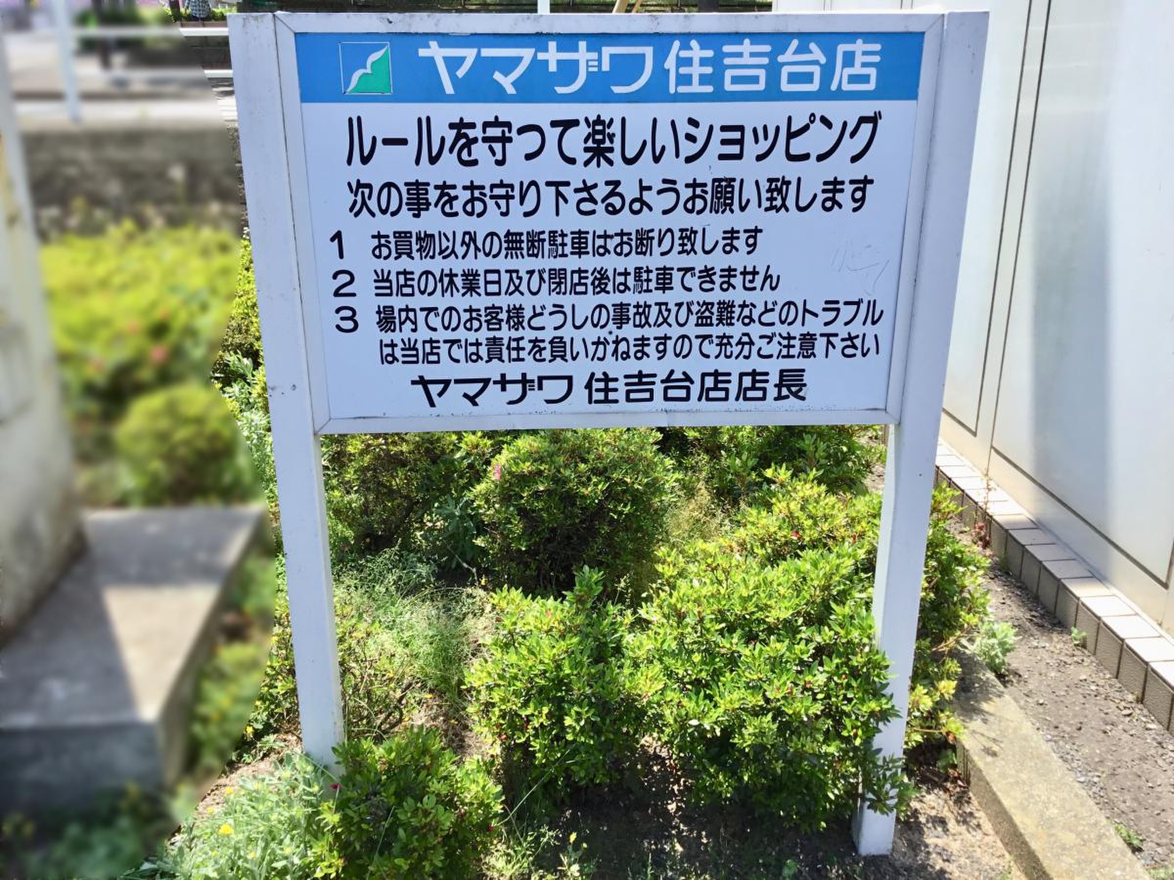 ヤマザワ 住吉 台 チラシ