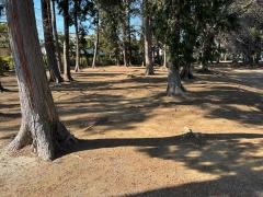 向ノ内森林公園