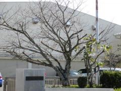 入野小学校