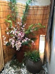 居食処天
