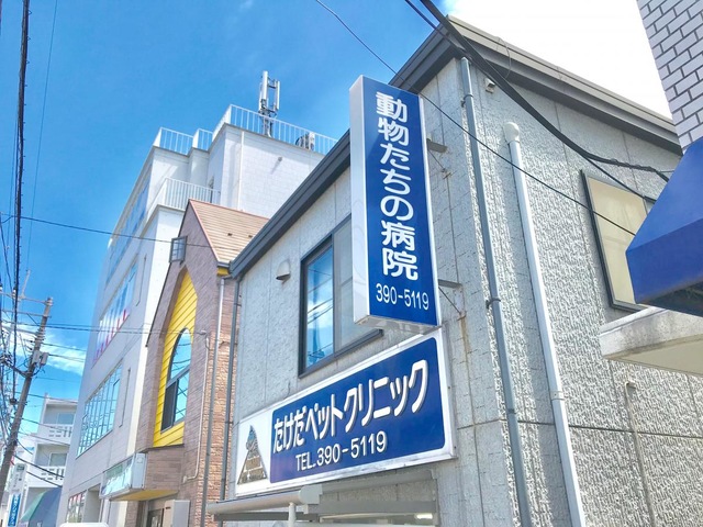 投稿写真1
