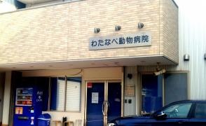 わたなべ動物病院