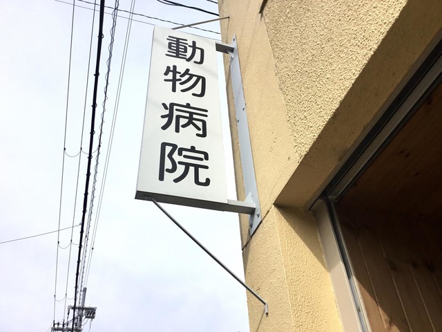 投稿写真2