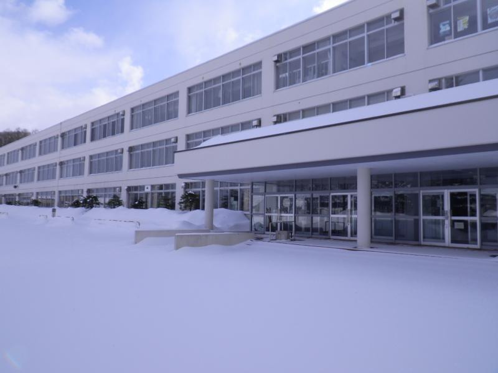 札幌 西陵 高校