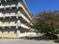 杉の入小学校