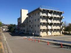 杉の入小学校