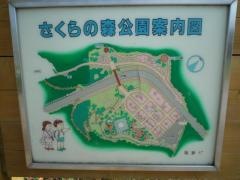 さくらの森公園