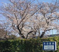 永田医院