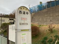 「西蓮寺」バス停留所