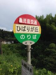 「ひばりケ丘」バス停留所