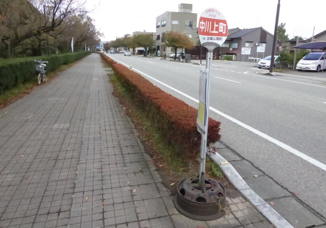 投稿写真1