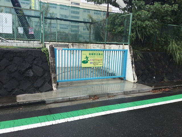 投稿写真1