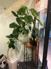 スタンドシャン食