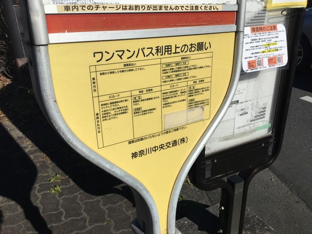 投稿写真4