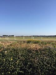 新江合川緑地公園サッカー場