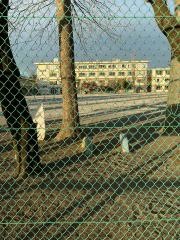 小平第九小学校