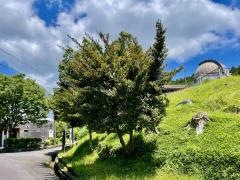 鈴鹿峠自然の家