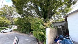 中野朋正園