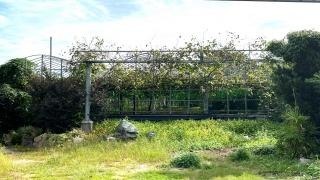中野朋正園