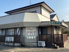 サロン・ド・シアン