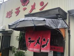桜ラーメン