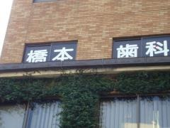 橋本歯科